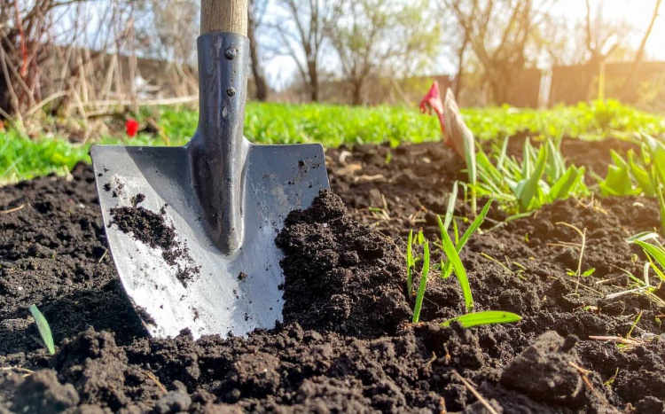 Чи обов’язково перекопувати город восени - фото з відкритих джерел