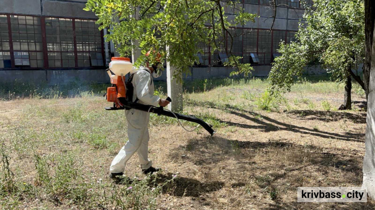 Геть, бур’яни-алергени! На Інгулецькому комбінаті Метінвесту борються з карантинними рослинами