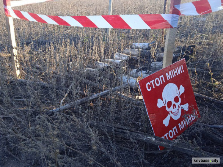 Наслідки війни: в Україні за тиждень виявили та знешкодили тисячу вибухонебезпечних предметів