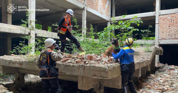 На Дніпропетровщині відбувся тактичний тренінг для пошуковців: що вивчали
