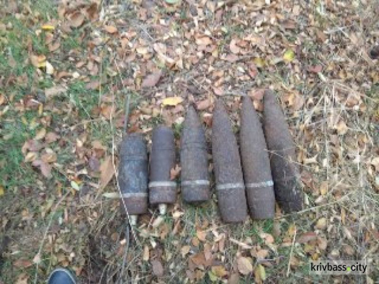 В Металлургическом районе Кривого Рога были найдены взрывоопасные предметы (ФОТО)