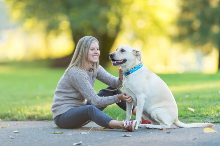 Як собака покращує настрій: наука та практика - фото з відкритих джерел