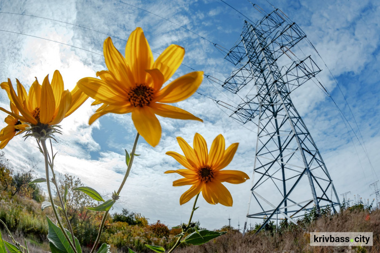 фото пресслужби ДТЕК