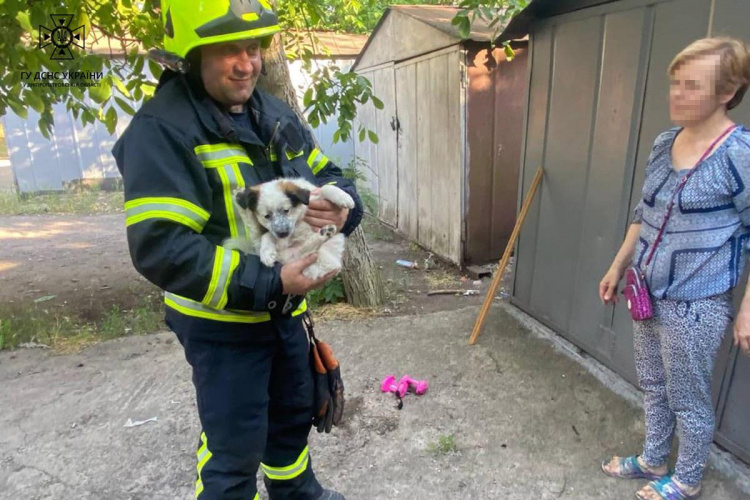 Хвилинка доброти: криворізькі рятувальники врятували двох цуценят із пастки