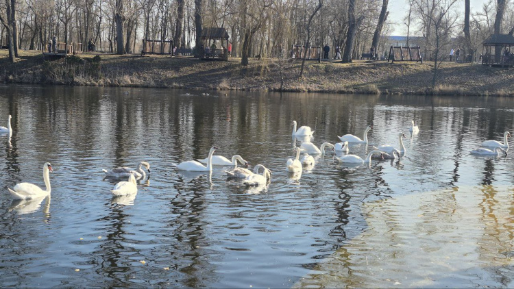 Криворізький вікенд: як провести час з родиною у Великодні вихідні
