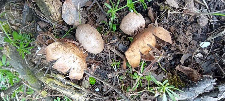 фото Вікторії Тротнер