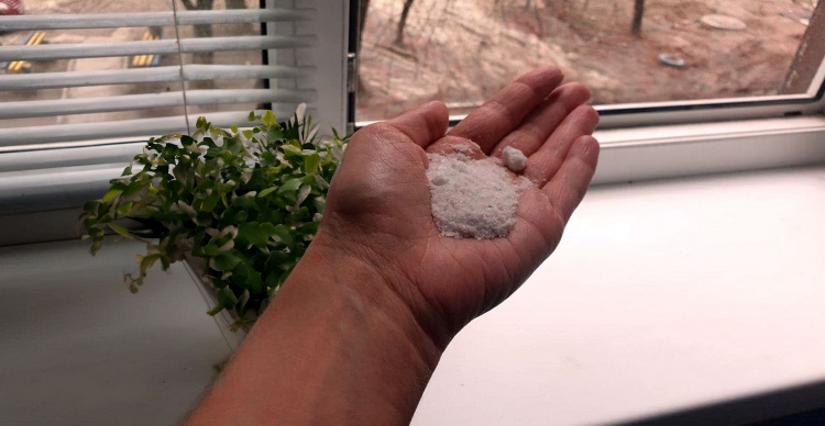 Тарілка солі біля вікна: дивний трюк, який справді працює - фото з відкритих джерел