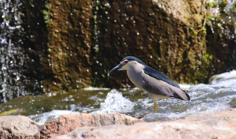 Фото Віктора Севідова