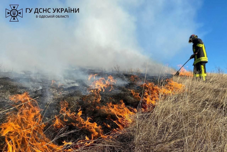 В Україні вже фіксуються пожежі в екосистемах – пожежні нагадують про відповідальність