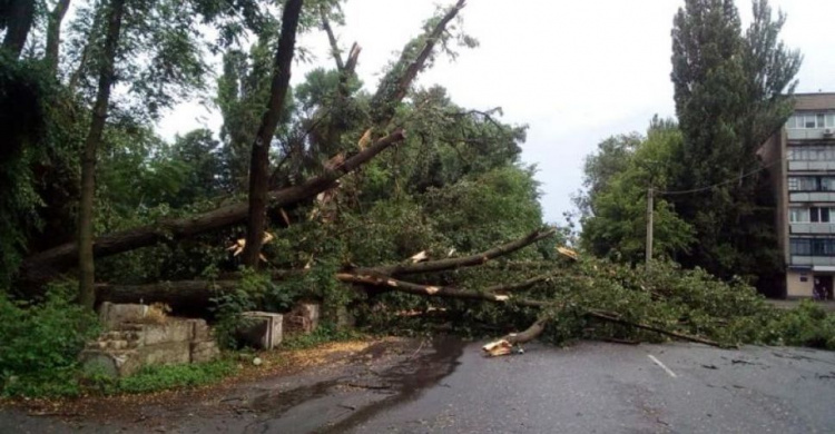 Куда обращаться криворожанам для ликвидации последствий урагана (телефоны экстренных служб)