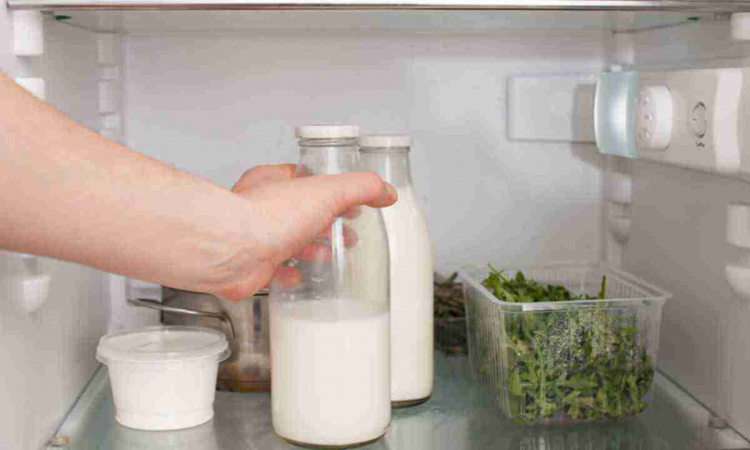 Максимальна користь від молочних продуктів: як правильно зберігати