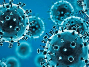 Stratus і Nimbus: що відомо про нові штами COVID-19 в Україні